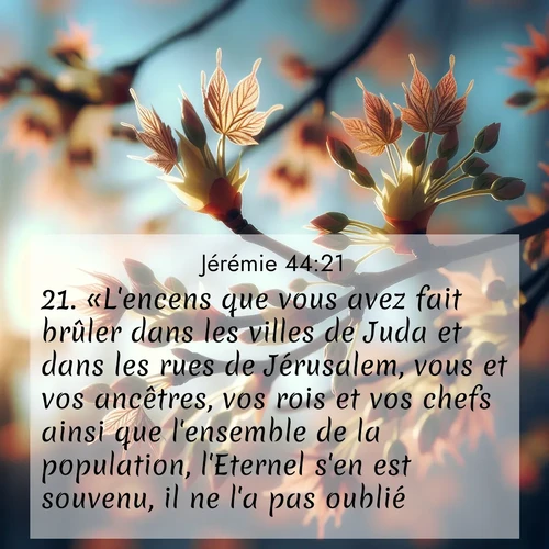 Segond21 Jérémie  ; image nature: image avec le verset biblique :«L&#039;encens que vous avez fait brûler dans les villes de Juda et dans les rues de Jérusalem, vous et vos ancêtres, vos rois et vos chefs ainsi que l&#039;ensemble de la population, l&#039;Eternel s&#039;en est souvenu, il ne l&#039;a pas oublié. ;  ; 44:21