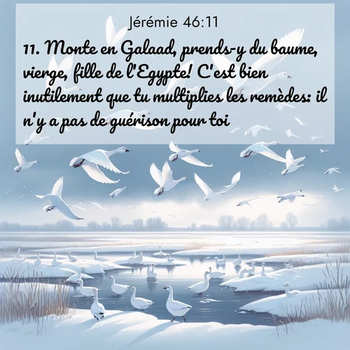 citation biblique : 11. Monte en Galaad, prends-y du baume, vierge, fille de l&#039;Egypte! C&#039;est bien inutilement que tu multiplies les remèdes: il n&#039;y a pas de guérison pour toi.
 sur fond image nature