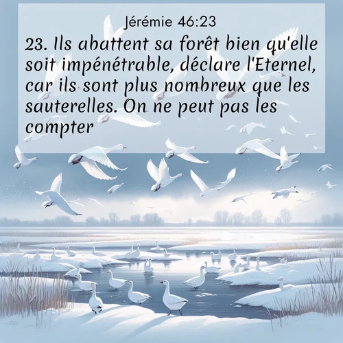 citation biblique : 23. Ils abattent sa forêt bien qu&#039;elle soit impénétrable, déclare l&#039;Eternel, car ils sont plus nombreux que les sauterelles. On ne peut pas les compter.
 sur fond image nature