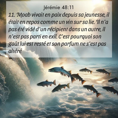 Segond21 Jérémie  ; image nature: image avec le verset biblique :Moab vivait en paix depuis sa jeunesse, il était en repos comme un vin sur sa lie. Il n&#039;a pas été vidé d&#039;un récipient dans un autre, il n&#039;est pas parti en exil. C&#039;est pourquoi son goût lui est resté et son parfum ne s&#039;est pas altéré. ;  ; 48:11