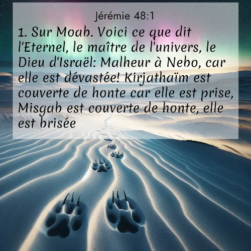 citation biblique : 1. Sur Moab. Voici ce que dit l&#039;Eternel, le maître de l&#039;univers, le Dieu d&#039;Israël: Malheur à Nebo, car elle est dévastée! Kirjathaïm est couverte de honte car elle est prise, Misgab est couverte de honte, elle est brisée.
 sur fond image nature