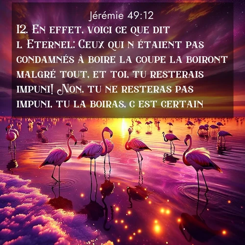 Segond21 Jérémie  ; image nature: image avec le verset biblique :En effet, voici ce que dit l&#039;Eternel: Ceux qui n&#039;étaient pas condamnés à boire la coupe la boiront malgré tout, et toi, tu resterais impuni! Non, tu ne resteras pas impuni, tu la boiras, c&#039;est certain! ;  ; 49:12