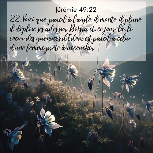 Segond21 Jérémie  ; image nature: image avec le verset biblique :Voici que, pareil à l&#039;aigle, il monte, il plane, il déploie ses ailes sur Botsra et, ce jour-là, le coeur des guerriers d&#039;Edom est pareil à celui d&#039;une femme prête à accoucher. ;  ; 49:22