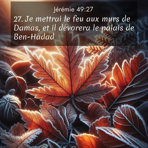 Segond21 Jérémie  ; image nature: image avec le verset biblique :Je mettrai le feu aux murs de Damas, et il dévorera le palais de Ben-Hadad. ;  ; 49:27