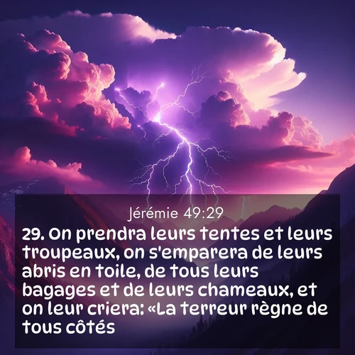 Segond21 Jérémie  ; image nature: image avec le verset biblique :On prendra leurs tentes et leurs troupeaux, on s&#039;emparera de leurs abris en toile, de tous leurs bagages et de leurs chameaux, et on leur criera: «La terreur règne de tous côtés!» ;  ; 49:29