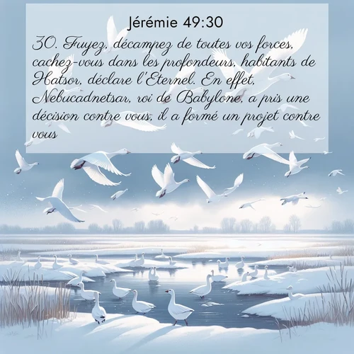 Segond21 Jérémie  ; image nature: image avec le verset biblique :Fuyez, décampez de toutes vos forces, cachez-vous dans les profondeurs, habitants de Hatsor, déclare l&#039;Eternel. En effet, Nebucadnetsar, roi de Babylone, a pris une décision contre vous, il a formé un projet contre vous. ;  ; 49:30