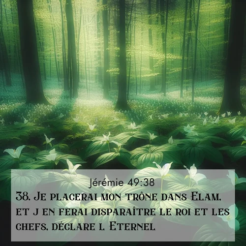 Segond21 Jérémie  ; image nature: image avec le verset biblique :Je placerai mon trône dans Elam, et j&#039;en ferai disparaître le roi et les chefs, déclare l&#039;Eternel. ;  ; 49:38