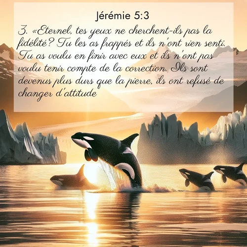 Segond21 Jérémie  ; image nature: image avec le verset biblique :«Eternel, tes yeux ne cherchent-ils pas la fidélité? Tu les as frappés et ils n&#039;ont rien senti. Tu as voulu en finir avec eux et ils n&#039;ont pas voulu tenir compte de la correction. Ils sont devenus plus durs que la pierre, ils ont refusé de changer d&#039;attitude. ;  ; 5:3