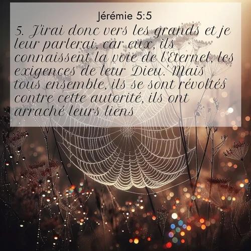 Segond21 Jérémie  ; image nature: image avec le verset biblique :J&#039;irai donc vers les grands et je leur parlerai, car eux, ils connaissent la voie de l&#039;Eternel, les exigences de leur Dieu.&#039; Mais tous ensemble, ils se sont révoltés contre cette autorité, ils ont arraché leurs liens. ;  ; 5:5