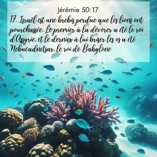 citation biblique : 17. Israël est une brebis perdue que les lions ont pourchassée. Le premier à la dévorer a été le roi d&#039;Assyrie, et le dernier à lui briser les os a été Nebucadnetsar, le roi de Babylone.
 sur fond image nature