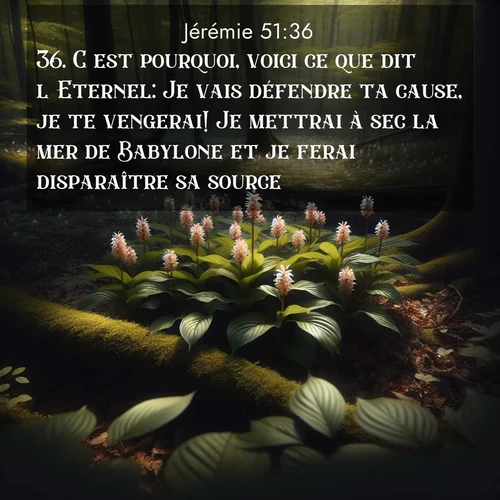 Segond21 Jérémie  ; image nature: image avec le verset biblique :C&#039;est pourquoi, voici ce que dit l&#039;Eternel: Je vais défendre ta cause, je te vengerai! Je mettrai à sec la mer de Babylone et je ferai disparaître sa source. ;  ; 51:36