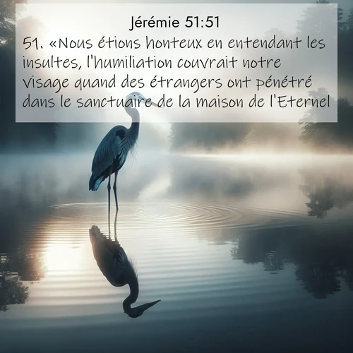 Segond21 Jérémie  ; image nature: image avec le verset biblique :«Nous étions honteux en entendant les insultes, l&#039;humiliation couvrait notre visage quand des étrangers ont pénétré dans le sanctuaire de la maison de l&#039;Eternel.» ;  ; 51:51