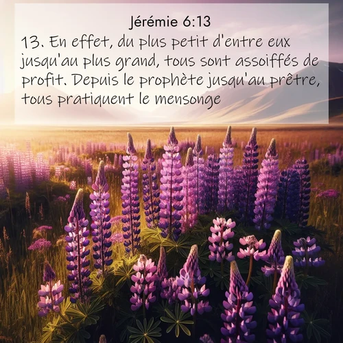 Segond21 Jérémie  ; image nature: image avec le verset biblique :En effet, du plus petit d&#039;entre eux jusqu&#039;au plus grand, tous sont assoiffés de profit. Depuis le prophète jusqu&#039;au prêtre, tous pratiquent le mensonge. ;  ; 6:13