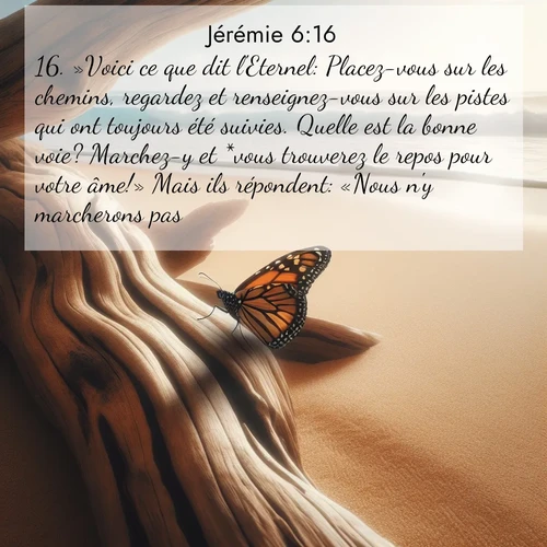 Segond21 Jérémie  ; image nature: image avec le verset biblique :»Voici ce que dit l&#039;Eternel: Placez-vous sur les chemins, regardez et renseignez-vous sur les pistes qui ont toujours été suivies. Quelle est la bonne voie? Marchez-y et *vous trouverez le repos pour votre âme!» Mais ils répondent: «Nous n&#039;y marcherons pas.» ;  ; 6:16