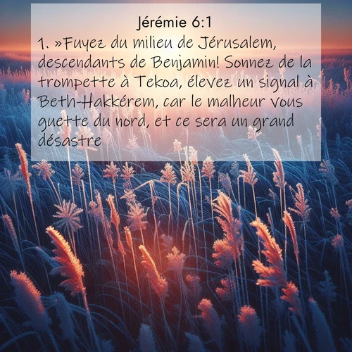 citation biblique : 1. »Fuyez du milieu de Jérusalem, descendants de Benjamin! Sonnez de la trompette à Tekoa, élevez un signal à Beth-Hakkérem, car le malheur vous guette du nord, et ce sera un grand désastre.
 sur fond image nature