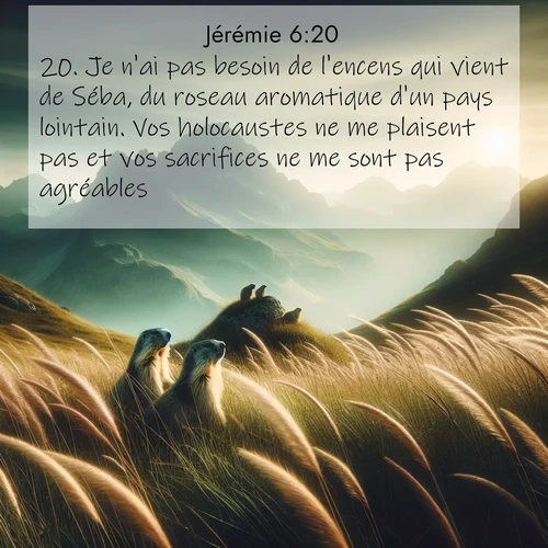 Segond21 Jérémie  ; image nature: image avec le verset biblique :Je n&#039;ai pas besoin de l&#039;encens qui vient de Séba, du roseau aromatique d&#039;un pays lointain. Vos holocaustes ne me plaisent pas et vos sacrifices ne me sont pas agréables. ;  ; 6:20