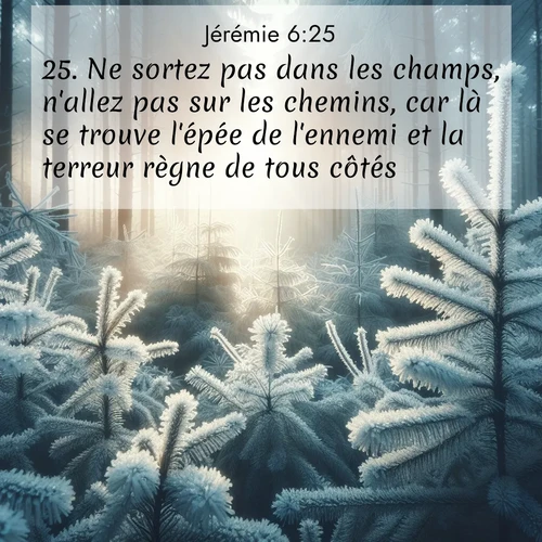 Segond21 Jérémie  ; image nature: image avec le verset biblique :Ne sortez pas dans les champs, n&#039;allez pas sur les chemins, car là se trouve l&#039;épée de l&#039;ennemi et la terreur règne de tous côtés. ;  ; 6:25