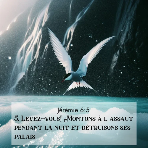 Segond21 Jérémie  ; image nature: image avec le verset biblique :Levez-vous! Montons à l&#039;assaut pendant la nuit et détruisons ses palais!&#039; ;  ; 6:5