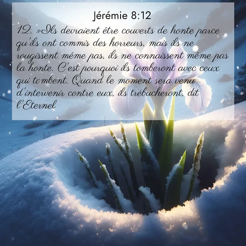 Segond21 Jérémie  ; image nature: image avec le verset biblique :»Ils devraient être couverts de honte parce qu&#039;ils ont commis des horreurs, mais ils ne rougissent même pas, ils ne connaissent même pas la honte. C&#039;est pourquoi ils tomberont avec ceux qui tombent. Quand le moment sera venu d&#039;intervenir contre eux, ils trébucheront, dit l&#039;Eternel. ;  ; 8:12