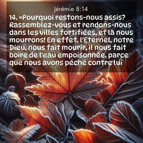 Segond21 Jérémie  ; image nature: image avec le verset biblique :«Pourquoi restons-nous assis? Rassemblez-vous et rendons-nous dans les villes fortifiées, et là nous mourrons! En effet, l&#039;Eternel, notre Dieu, nous fait mourir, il nous fait boire de l&#039;eau empoisonnée, parce que nous avons péché contre lui. ;  ; 8:14