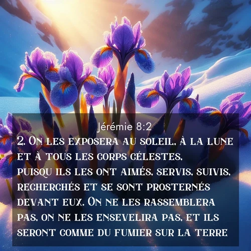 Segond21 Jérémie  ; image nature: image avec le verset biblique :On les exposera au soleil, à la lune et à tous les corps célestes, puisqu&#039;ils les ont aimés, servis, suivis, recherchés et se sont prosternés devant eux. On ne les rassemblera pas, on ne les ensevelira pas, et ils seront comme du fumier sur la terre. ;  ; 8:2