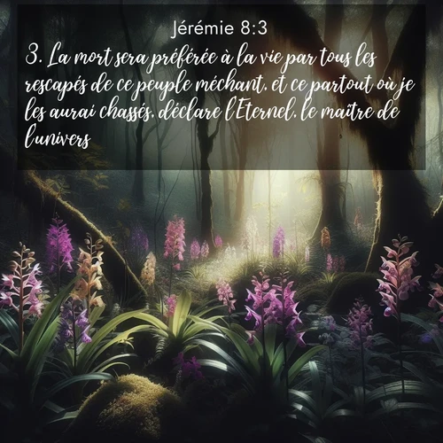 Segond21 Jérémie  ; image nature: image avec le verset biblique :La mort sera préférée à la vie par tous les rescapés de ce peuple méchant, et ce partout où je les aurai chassés, déclare l&#039;Eternel, le maître de l&#039;univers. ;  ; 8:3