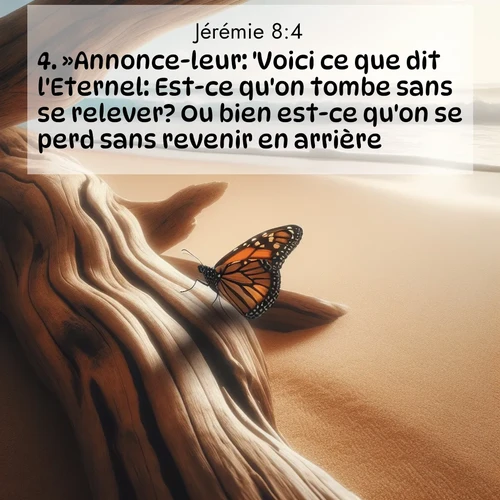 Segond21 Jérémie  ; image nature: image avec le verset biblique :»Annonce-leur: &#039;Voici ce que dit l&#039;Eternel: Est-ce qu&#039;on tombe sans se relever? Ou bien est-ce qu&#039;on se perd sans revenir en arrière?&#039; ;  ; 8:4