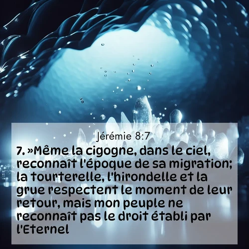 Segond21 Jérémie  ; image nature: image avec le verset biblique :»Même la cigogne, dans le ciel, reconnaît l&#039;époque de sa migration; la tourterelle, l&#039;hirondelle et la grue respectent le moment de leur retour, mais mon peuple ne reconnaît pas le droit établi par l&#039;Eternel. ;  ; 8:7