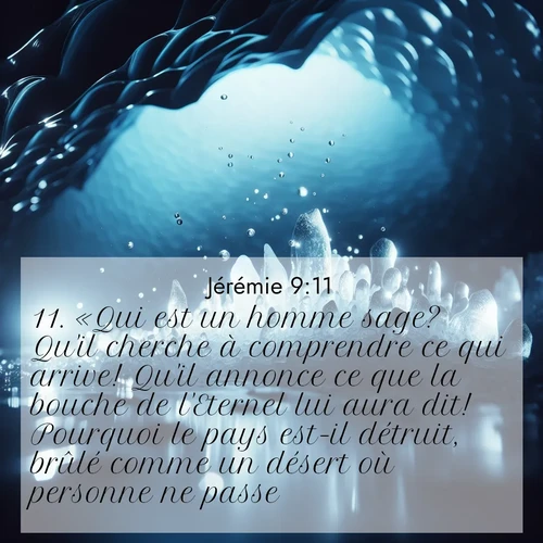 Segond21 Jérémie  ; image nature: image avec le verset biblique :«Qui est un homme sage? Qu&#039;il cherche à comprendre ce qui arrive! Qu&#039;il annonce ce que la bouche de l&#039;Eternel lui aura dit! Pourquoi le pays est-il détruit, brûlé comme un désert où personne ne passe?» ;  ; 9:11