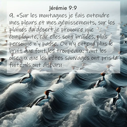 Segond21 Jérémie  ; image nature: image avec le verset biblique :«Sur les montagnes je fais entendre mes pleurs et mes gémissements, sur les plaines du désert je prononce une complainte, car elles sont brûlées, plus personne n&#039;y passe. On n&#039;y entend plus le bruit que font les troupeaux; tant les oiseaux que les bêtes sauvages ont pris la fuite, ils ont disparu.» ;  ; 9:9