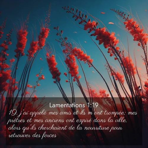 image nature avec verset biblique de la Bible