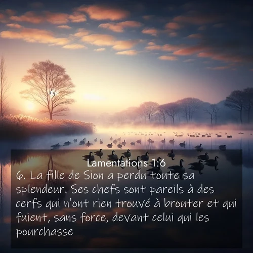 Segond21 Lamentations  ; image nature: image avec le verset biblique :La fille de Sion a perdu toute sa splendeur. Ses chefs sont pareils à des cerfs qui n&#039;ont rien trouvé à brouter et qui fuient, sans force, devant celui qui les pourchasse. ;  ; 1:6