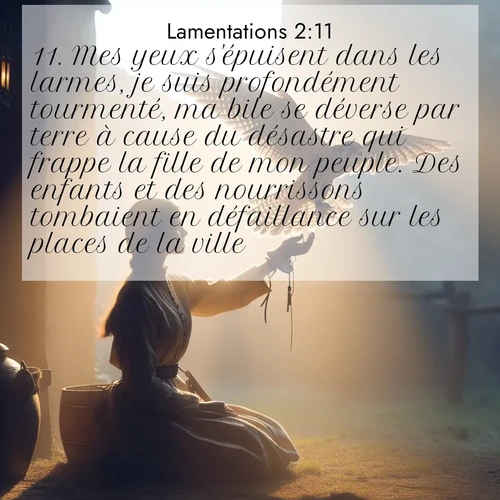 Segond21 Lamentations  ; image nature: image avec le verset biblique :Mes yeux s&#039;épuisent dans les larmes, je suis profondément tourmenté, ma bile se déverse par terre à cause du désastre qui frappe la fille de mon peuple. Des enfants et des nourrissons tombaient en défaillance sur les places de la ville. ;  ; 2:11