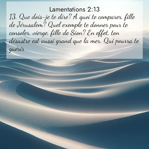 Segond21 Lamentations  ; image nature: image avec le verset biblique :Que dois-je te dire? A quoi te comparer, fille de Jérusalem? Quel exemple te donner pour te consoler, vierge, fille de Sion? En effet, ton désastre est aussi grand que la mer. Qui pourra te guérir? ;  ; 2:13