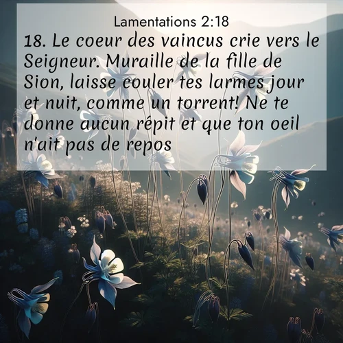 Segond21 Lamentations  ; image nature: image avec le verset biblique :Le coeur des vaincus crie vers le Seigneur. Muraille de la fille de Sion, laisse couler tes larmes jour et nuit, comme un torrent! Ne te donne aucun répit et que ton oeil n&#039;ait pas de repos! ;  ; 2:18