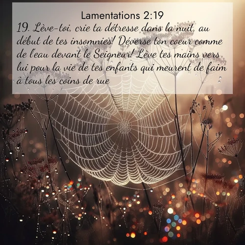 Segond21 Lamentations  ; image nature: image avec le verset biblique :Lève-toi, crie ta détresse dans la nuit, au début de tes insomnies! Déverse ton coeur comme de l&#039;eau devant le Seigneur! Lève tes mains vers lui pour la vie de tes enfants qui meurent de faim à tous les coins de rue! ;  ; 2:19