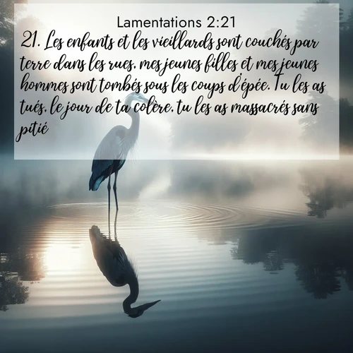 Segond21 Lamentations  ; image nature: image avec le verset biblique :Les enfants et les vieillards sont couchés par terre dans les rues, mes jeunes filles et mes jeunes hommes sont tombés sous les coups d&#039;épée. Tu les as tués, le jour de ta colère, tu les as massacrés sans pitié. ;  ; 2:21