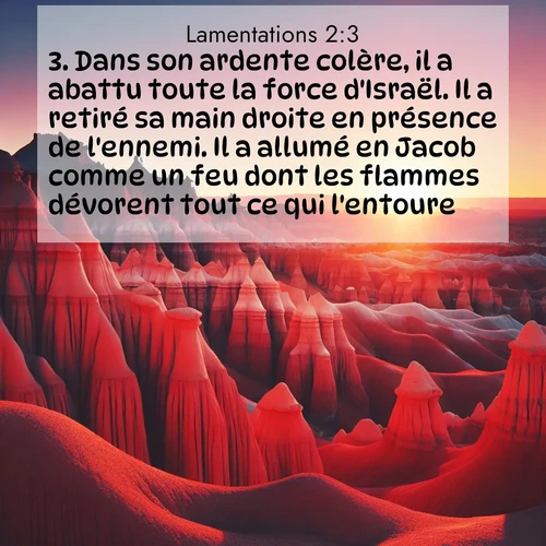 Segond21 Lamentations  ; image nature: image avec le verset biblique :Dans son ardente colère, il a abattu toute la force d&#039;Israël. Il a retiré sa main droite en présence de l&#039;ennemi. Il a allumé en Jacob comme un feu dont les flammes dévorent tout ce qui l&#039;entoure. ;  ; 2:3