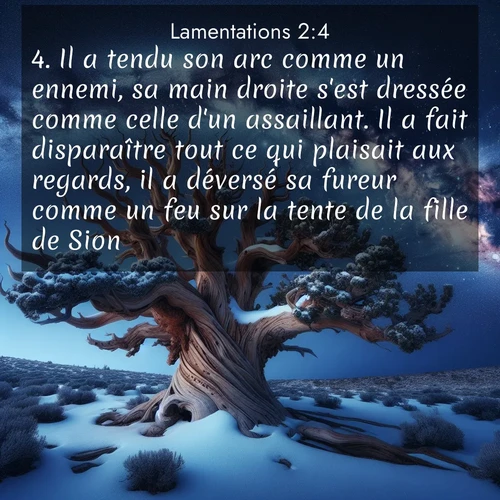 Segond21 Lamentations  ; image nature: image avec le verset biblique :Il a tendu son arc comme un ennemi, sa main droite s&#039;est dressée comme celle d&#039;un assaillant. Il a fait disparaître tout ce qui plaisait aux regards, il a déversé sa fureur comme un feu sur la tente de la fille de Sion. ;  ; 2:4