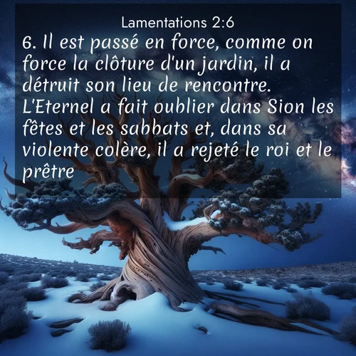 Segond21 Lamentations  ; image nature: image avec le verset biblique :Il est passé en force, comme on force la clôture d&#039;un jardin, il a détruit son lieu de rencontre. L&#039;Eternel a fait oublier dans Sion les fêtes et les sabbats et, dans sa violente colère, il a rejeté le roi et le prêtre. ;  ; 2:6