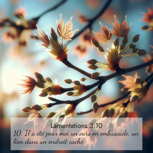 Segond21 Lamentations  ; image nature: image avec le verset biblique :Il a été pour moi un ours en embuscade, un lion dans un endroit caché. ;  ; 3:10