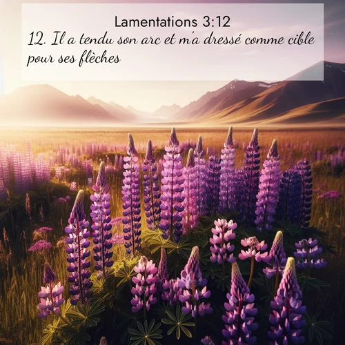 Segond21 Lamentations  ; image nature: image avec le verset biblique :Il a tendu son arc et m&#039;a dressé comme cible pour ses flèches. ;  ; 3:12
