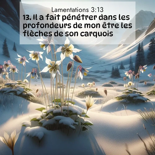 Segond21 Lamentations  ; image nature: image avec le verset biblique :Il a fait pénétrer dans les profondeurs de mon être les flèches de son carquois. ;  ; 3:13