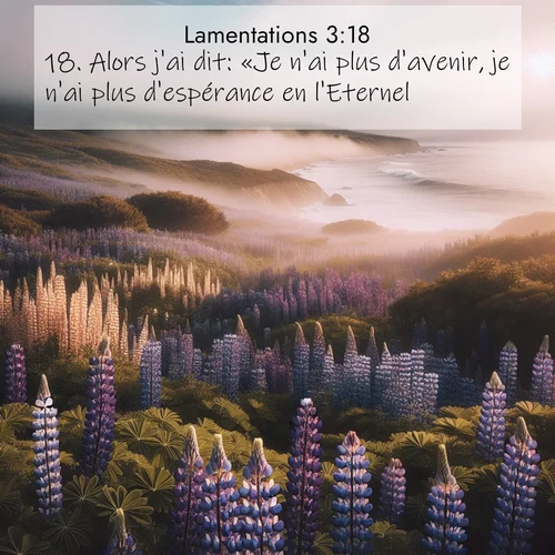 Segond21 Lamentations  ; image nature: image avec le verset biblique :Alors j&#039;ai dit: «Je n&#039;ai plus d&#039;avenir, je n&#039;ai plus d&#039;espérance en l&#039;Eternel!» ;  ; 3:18