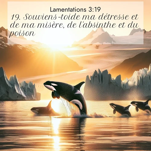 Segond21 Lamentations  ; image nature: image avec le verset biblique :Souviens-toide ma détresse et de ma misère, de l&#039;absinthe et du poison! ;  ; 3:19