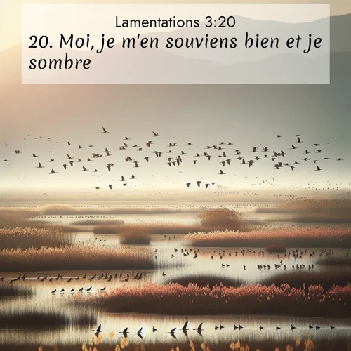 Segond21 Lamentations  ; image nature: image avec le verset biblique :Moi, je m&#039;en souviens bien et je sombre. ;  ; 3:20