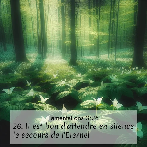 Segond21 Lamentations  ; image nature: image avec le verset biblique :Il est bon d&#039;attendre en silence le secours de l&#039;Eternel. ;  ; 3:26