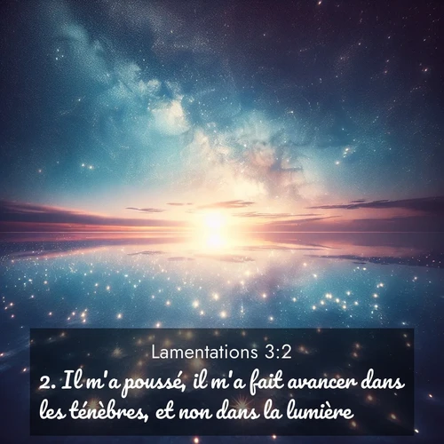 Segond21 Lamentations  ; image nature: image avec le verset biblique :Il m&#039;a poussé, il m&#039;a fait avancer dans les ténèbres, et non dans la lumière. ;  ; 3:2