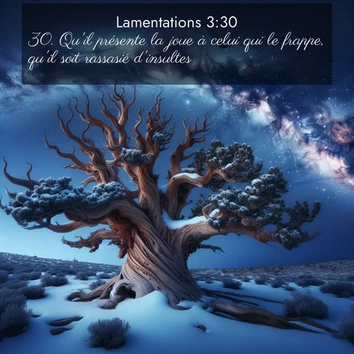 Segond21 Lamentations  ; image nature: image avec le verset biblique :Qu&#039;il présente la joue à celui qui le frappe, qu&#039;il soit rassasié d&#039;insultes! ;  ; 3:30
