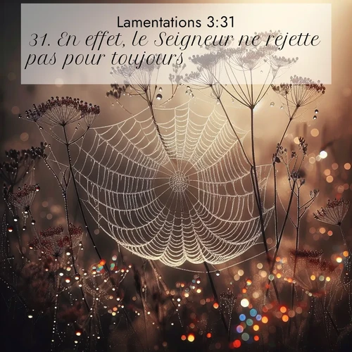 Segond21 Lamentations  ; image nature: image avec le verset biblique :En effet, le Seigneur ne rejette pas pour toujours, ;  ; 3:31